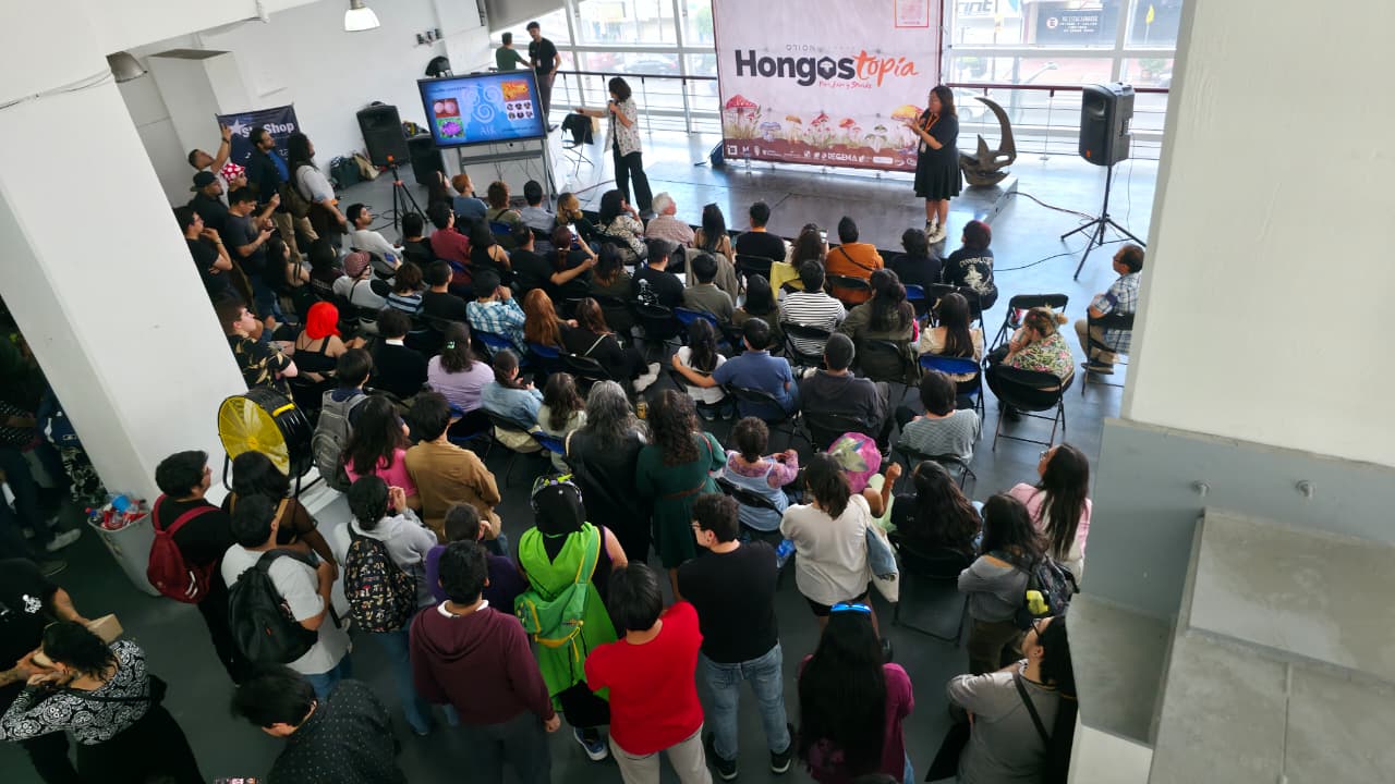 HONGOSTOPIA